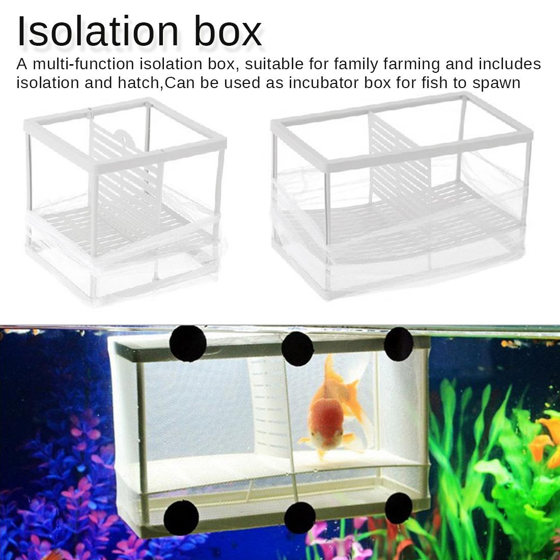 Peacock Phoenix Tail Hatching Breeding Box