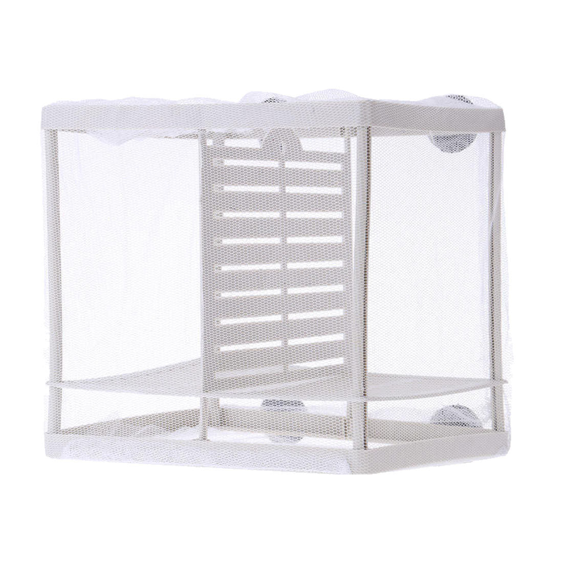 Peacock Phoenix Tail Hatching Breeding Box