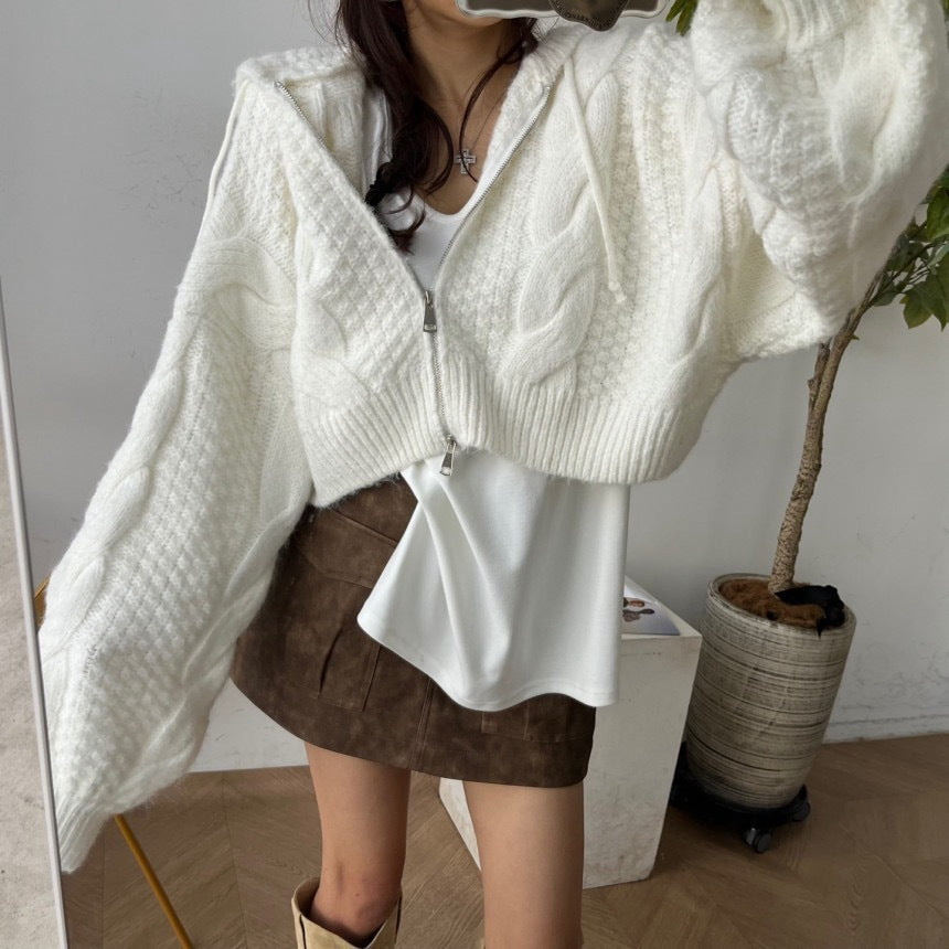 Autumn Leisure Long-sleeve Zipper Hooded Sweater