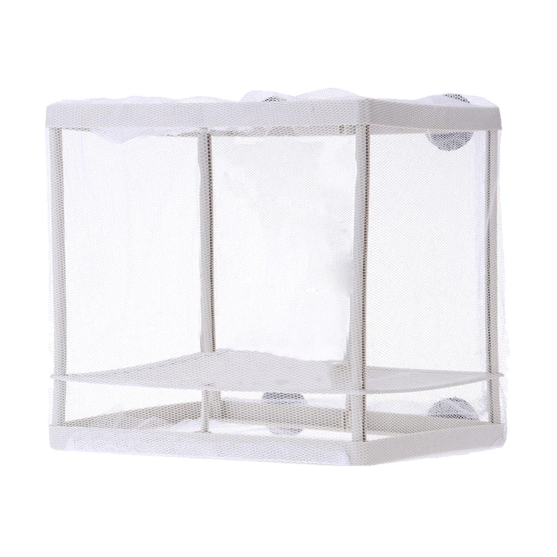Peacock Phoenix Tail Hatching Breeding Box