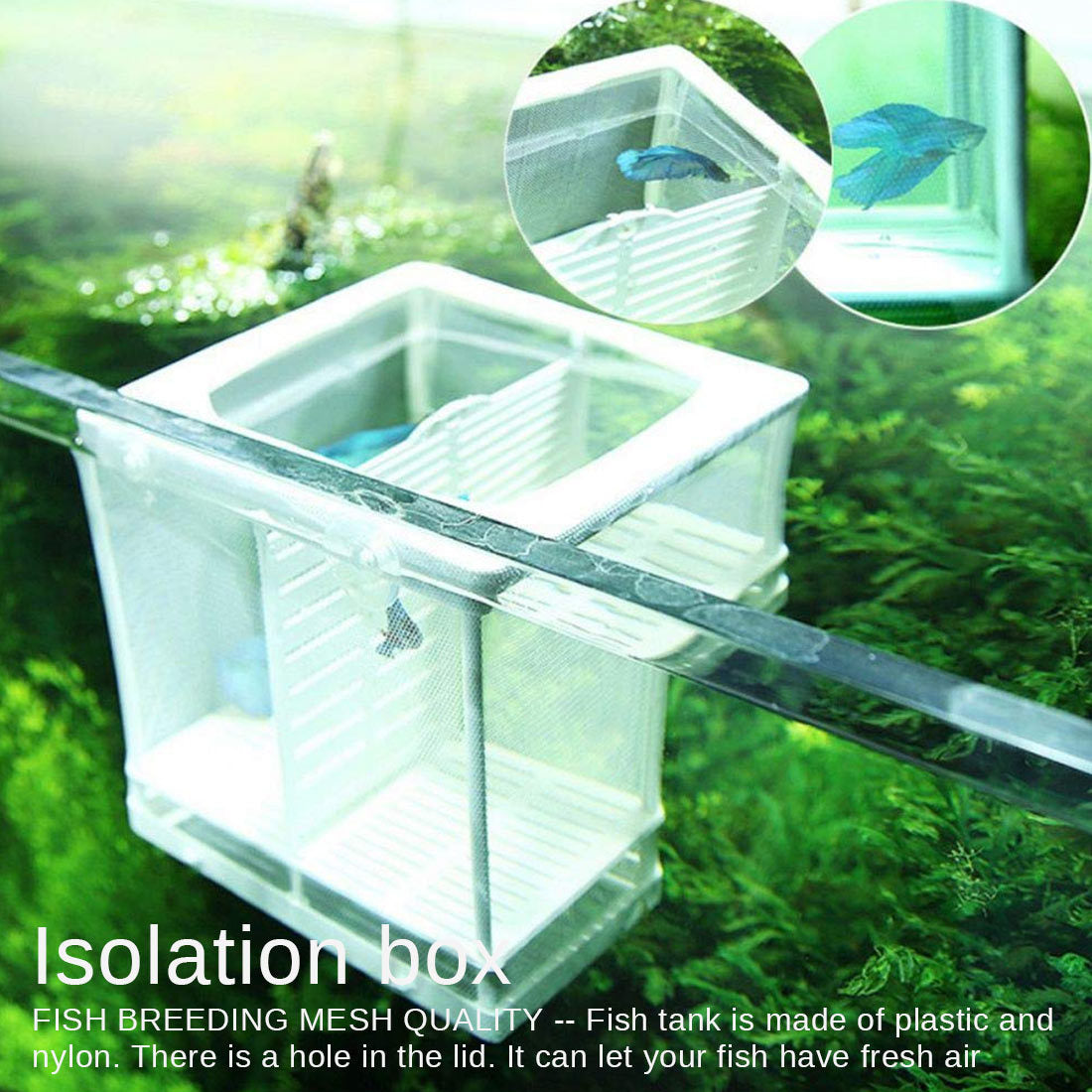 Peacock Phoenix Tail Hatching Breeding Box