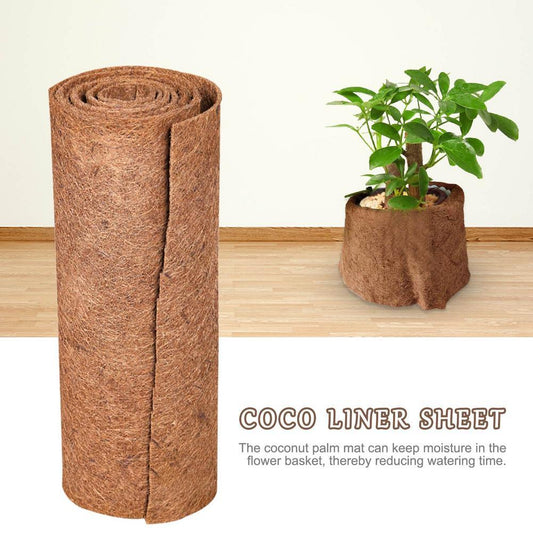 Coconut Palm Plant Warm Pad Tortoise Breeding Wooden Box