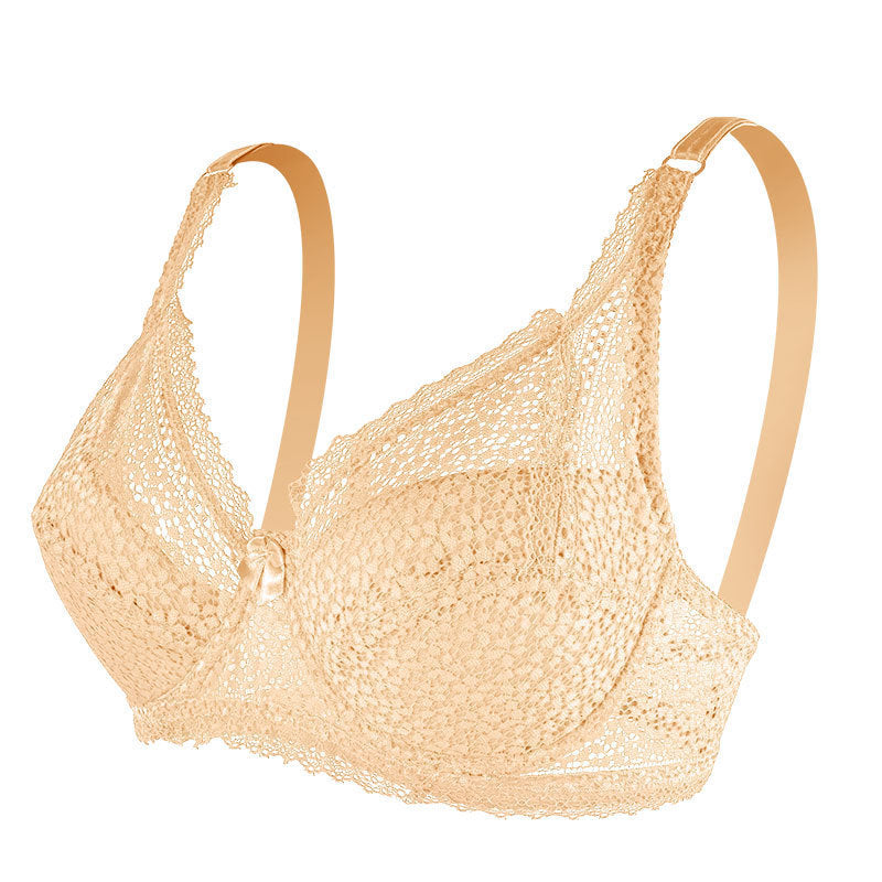 Lace Push Up Adjustable Small Breast Holding Bra