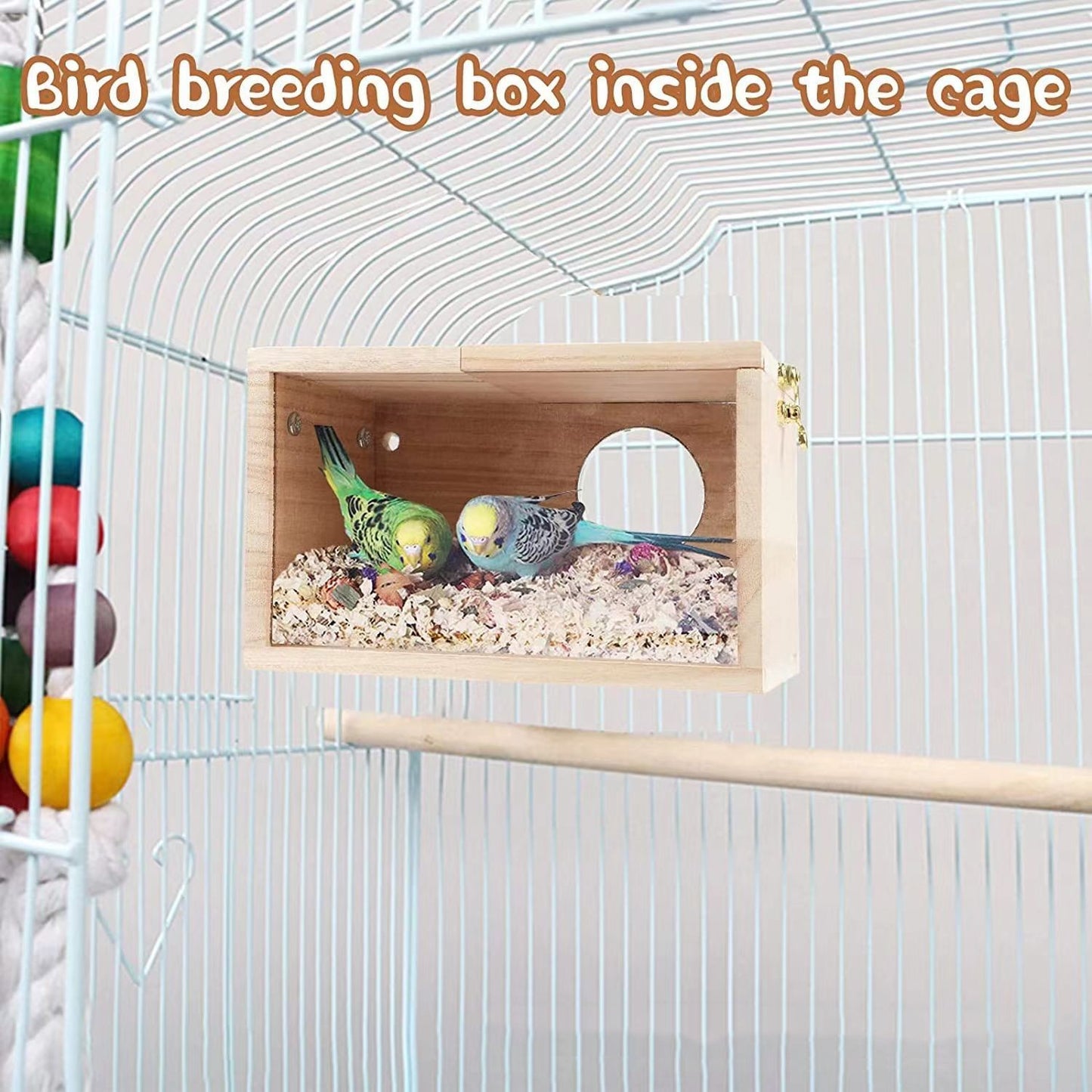 Outdoor Garden Decoration Bird House Transparent Wood Breeding Box