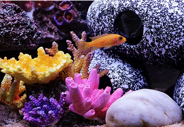 Special stone for fish and shrimp house breeding tank