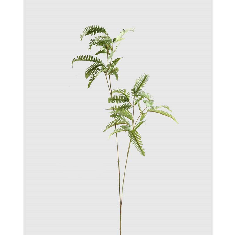 Simulation Of Silk Cloth Weed Weed Fern Fern Fake Flower
