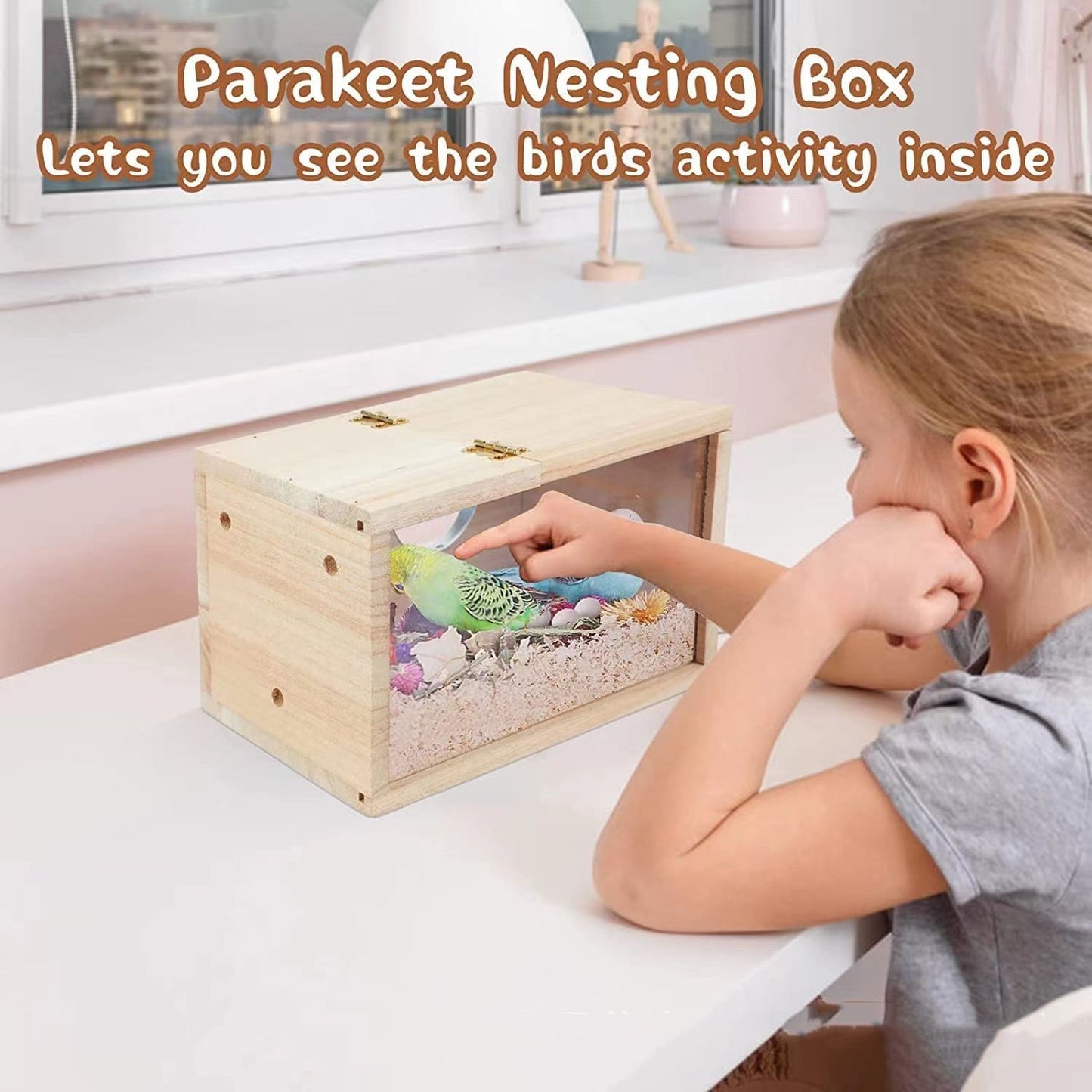 Outdoor Garden Decoration Bird House Transparent Wood Breeding Box