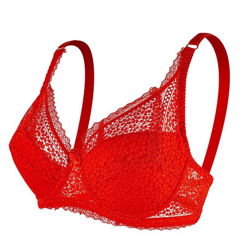 Lace Push Up Adjustable Small Breast Holding Bra