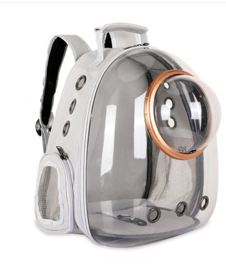Going Out Cat Carrying Bag Supplies Box  School  Dog Backpack
