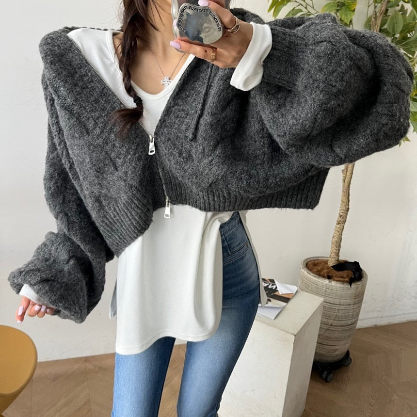 Autumn Leisure Long-sleeve Zipper Hooded Sweater