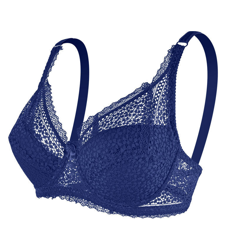 Lace Push Up Adjustable Small Breast Holding Bra