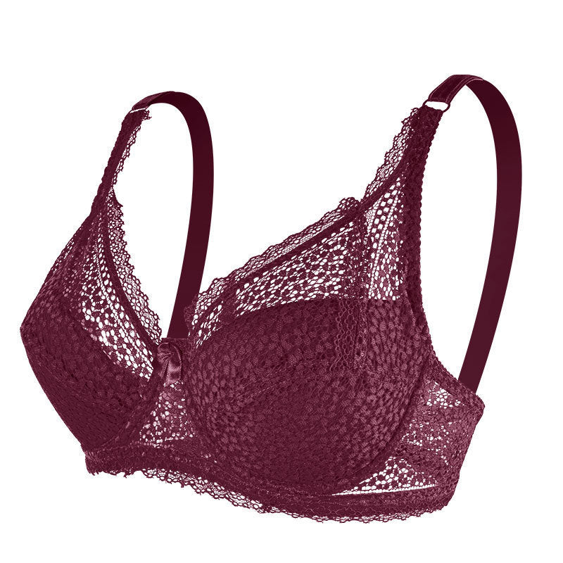 Lace Push Up Adjustable Small Breast Holding Bra