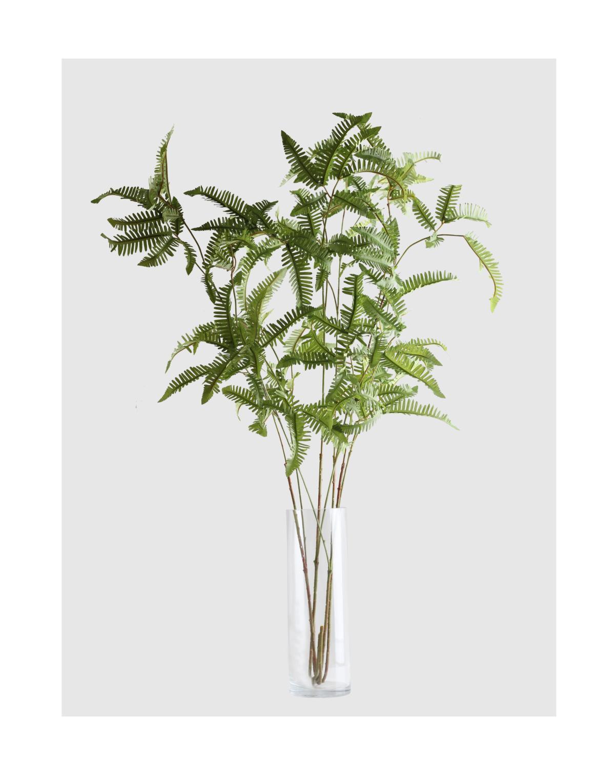 Simulation Of Silk Cloth Weed Weed Fern Fern Fake Flower