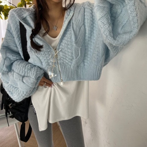 Autumn Leisure Long-sleeve Zipper Hooded Sweater