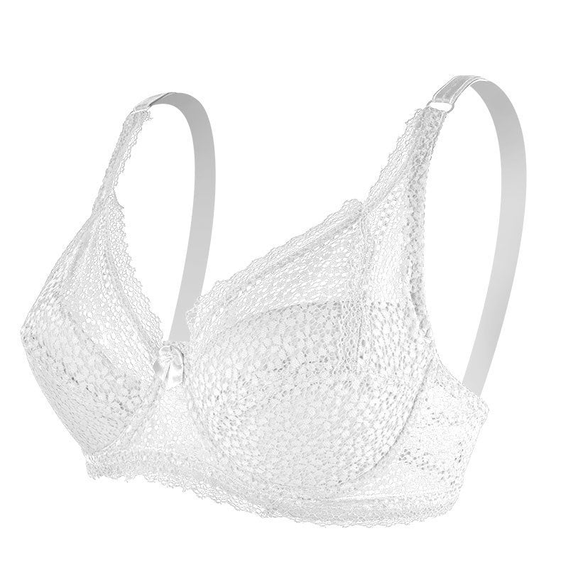 Lace Push Up Adjustable Small Breast Holding Bra