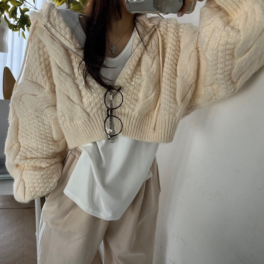 Autumn Leisure Long-sleeve Zipper Hooded Sweater